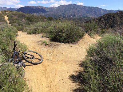 Watch out for this right turn. I always come in with too much speed, see it at the last second and miss it.