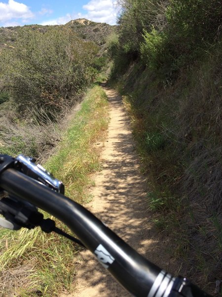 It's a bit more shaded on the singletrack. Smooth sailing from here.