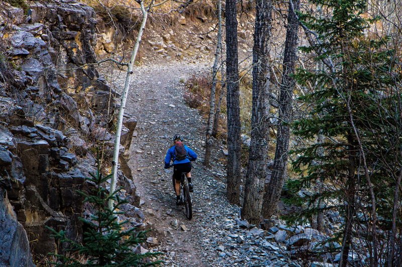 This section used to be waaaaaay steeper.  Prairie Creek trail.