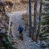 This section used to be waaaaaay steeper.  Prairie Creek trail.