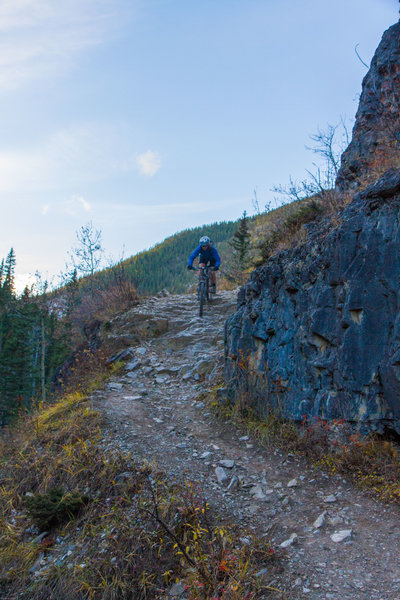 Looks easy from this side. ;-)  Prairie Creek trail.