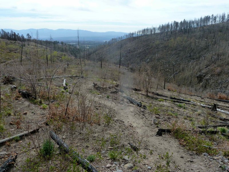 Nail trail from just above junction with Pajarito Canyon Trail