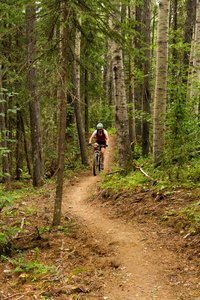 Cruising Snagmore singletrack!
