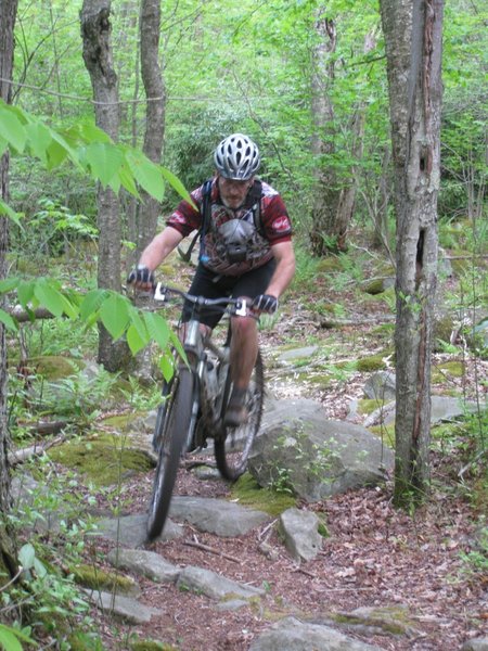 some of the easier rock gardens on table rock trail