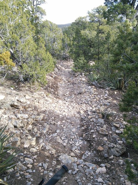 Western section is steep and loose