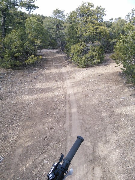 Most of the trail is cruising with some short sections through shallow rocky arroyos