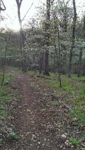 View down the trail looking west.