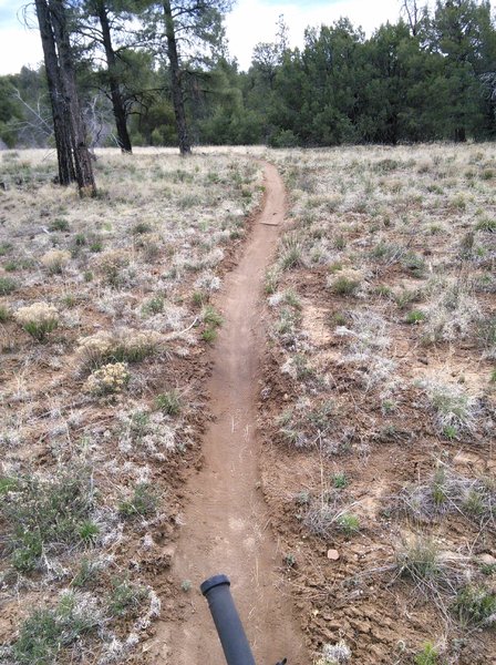 There are sections of nice meadow cruising like this one