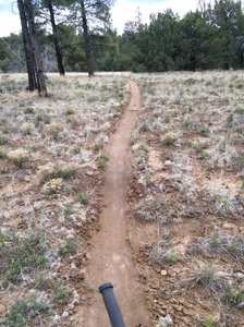There are sections of nice meadow cruising like this one