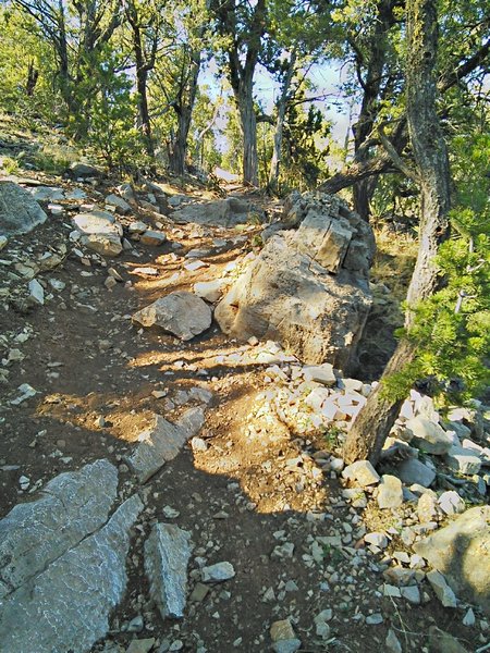 Descent off the west ridge to David Canyon has some steps and tight switchbacks