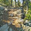 Descent off the west ridge to David Canyon has some steps and tight switchbacks