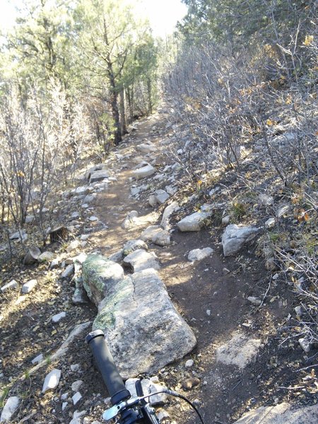 The trail is steep but has good switchbacks.