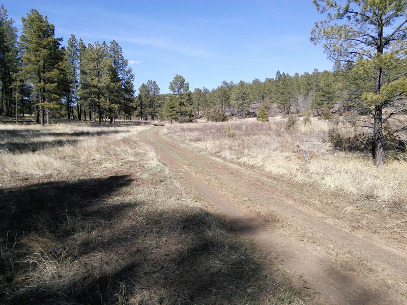 The trail crosses David Canyon and FR106 which is a bailout option