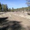 The trail crosses David Canyon and FR106 which is a bailout option