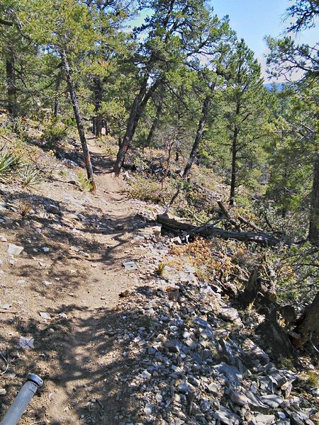 The trail contours along the hillside in the northern section of the east ridge