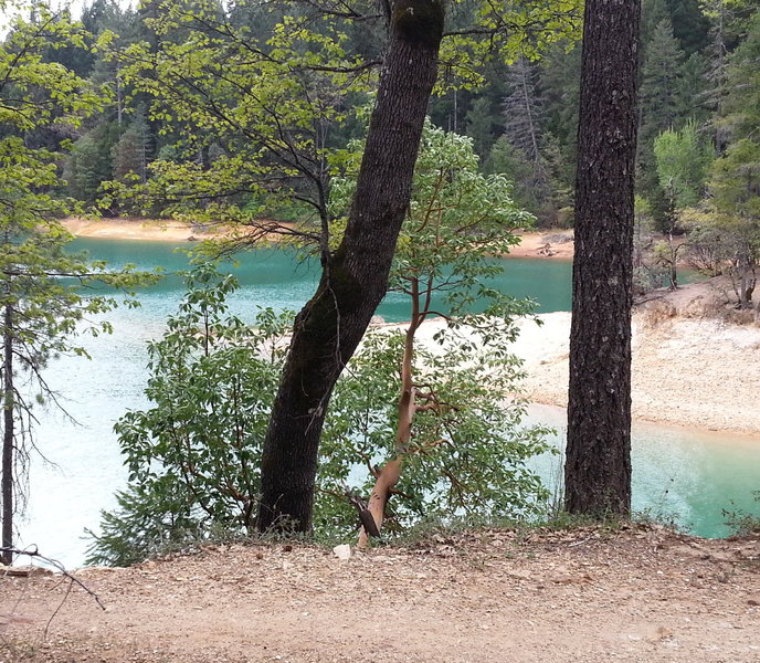 Crystal Blue Waters of Scotts Flat Lake (great for kayaking)