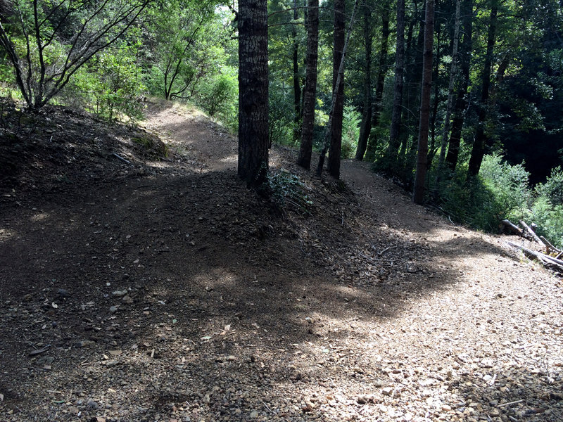 A lot of work has been done on these trails, and they are a delight.