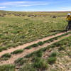 Final straightaway before the climb back up the service road