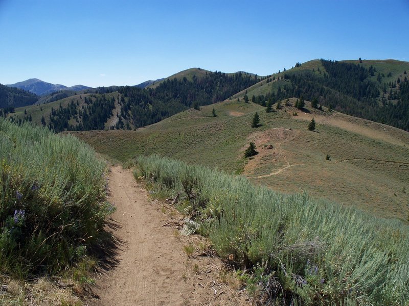 Beautiful day in Greenhorn Gulch is hard to beat!