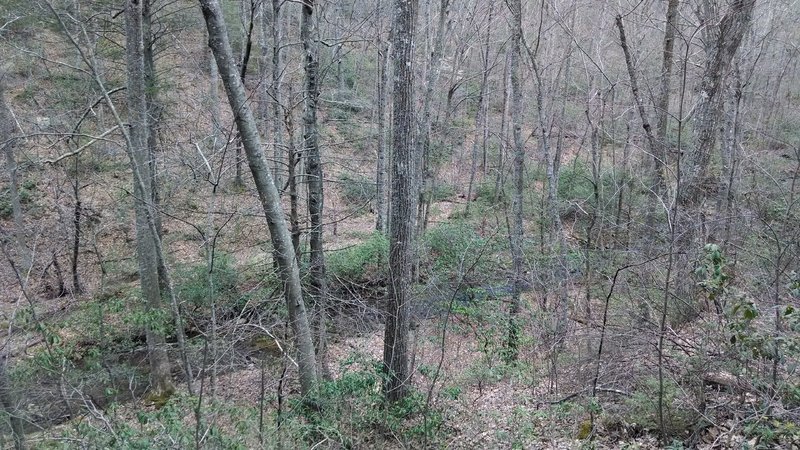 View of creek running parallel to trail