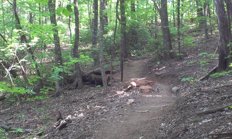 Embedded rock pile in trail.