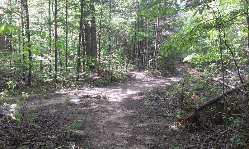 Trail crosses park access road here.