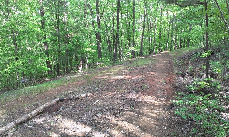 Trail parallels main park entrance road here.