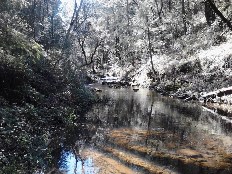 Knickerbocker creek crossing.  Peel off your shoes and socks, its time to go for a dip to get across and continue.(maybe not early fall)