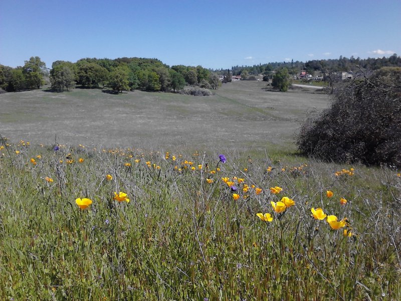 Easy to take in this epic scenery because the trail is mostly wide open