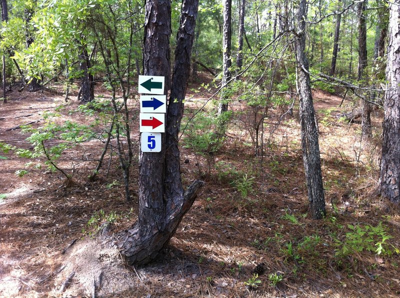 New signage all over the trail now