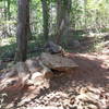 Side view of the first jump of the downhill jump line @ Park Road Park