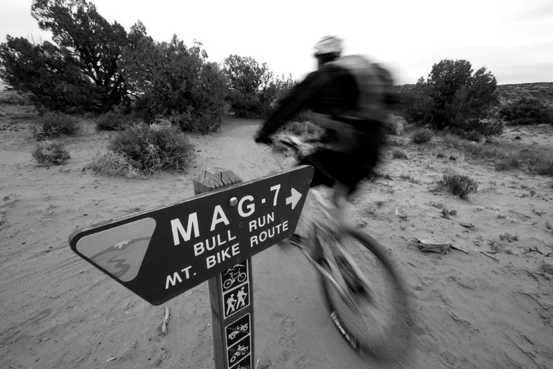 Ripping along the first segment of the famed Mag 7 ride, Bull Run.