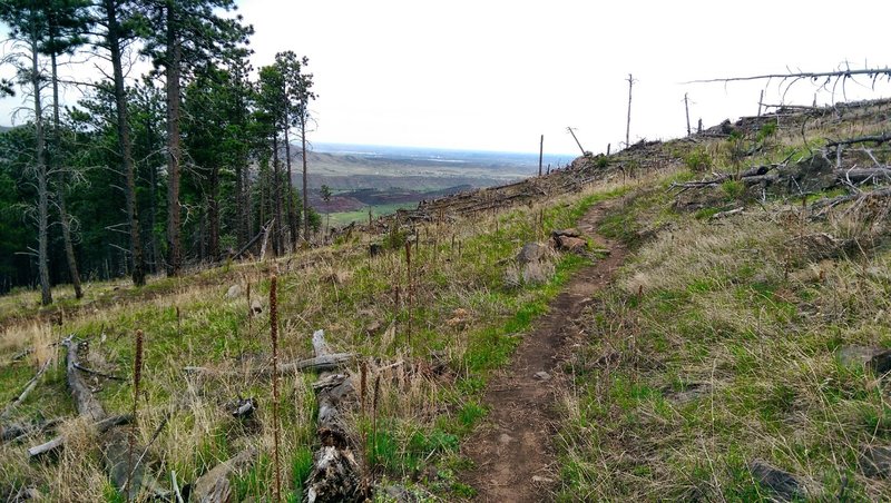 Where the trail finally flattens out before the downhill.