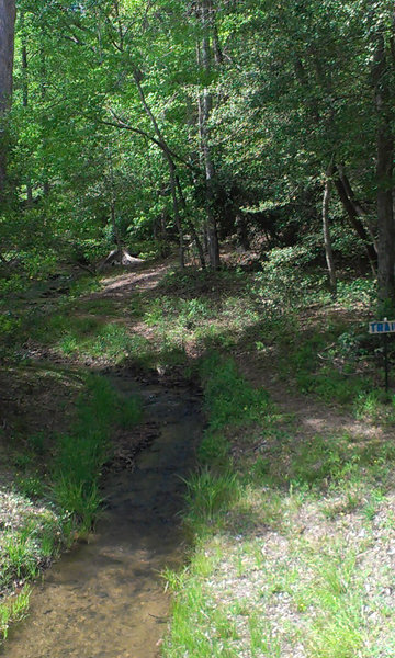 Trail beginning, running parallel to creek.