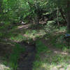 Trail beginning, running parallel to creek.