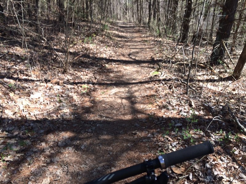 Shot of wide trail on blue loop trail.