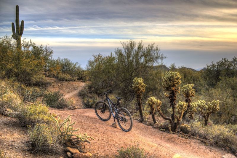 Cat's Peak Trail