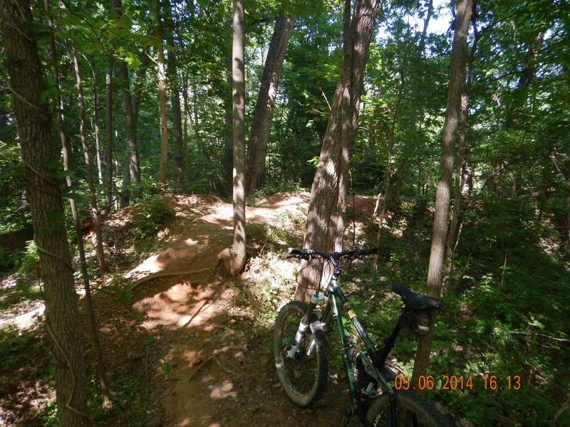 Rough, twisty, tight singletrack