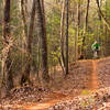 The big forests of the North Georgia Mountains