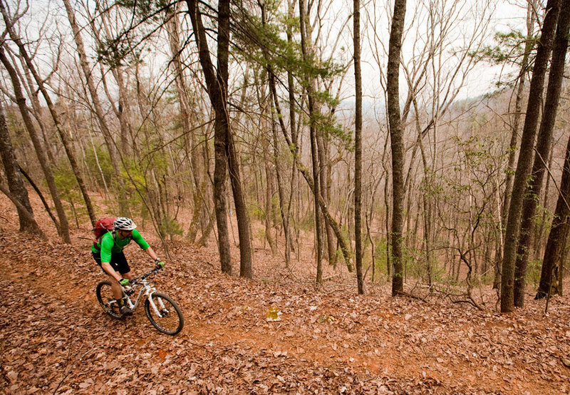 Descending the Bull Mountain trail - a great way to finish the Bull-Jake Mountain IMBA Epic.