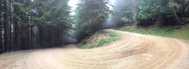 The grind up NF-7174 to the much-worth-it Ranger Creek ride.