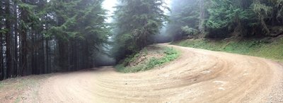 The grind up NF-7174 to the much-worth-it Ranger Creek ride.