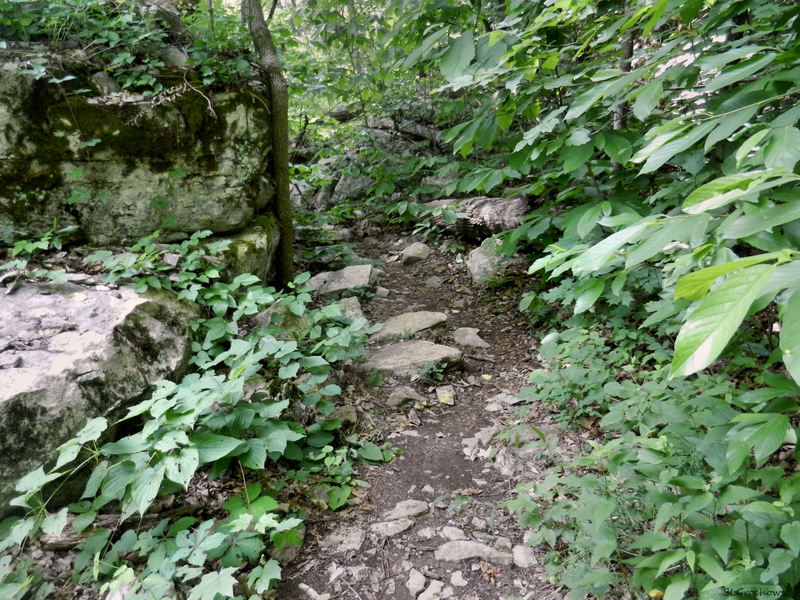 The trail can be highly technical in spots.