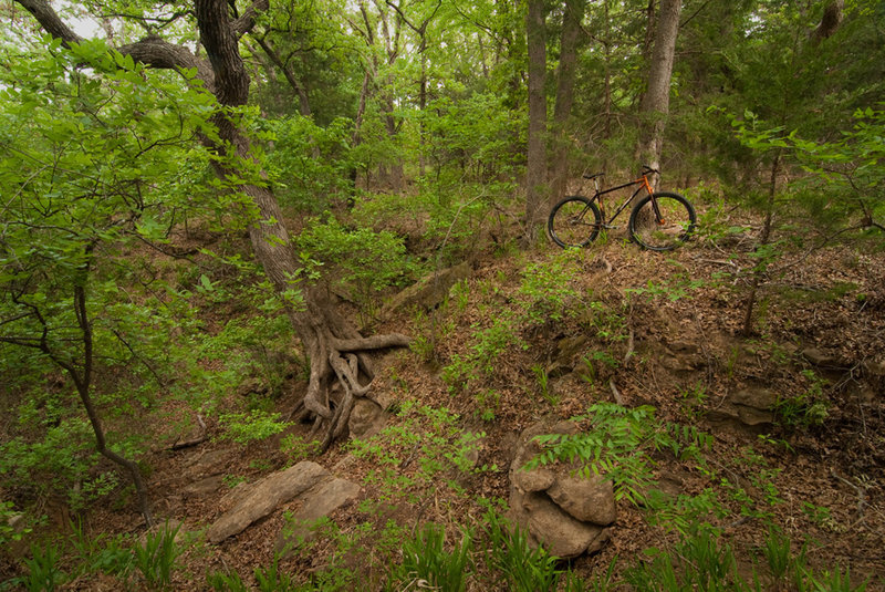 Spring in full swing, riding through Sleepy Hollow on the Orange Trail.