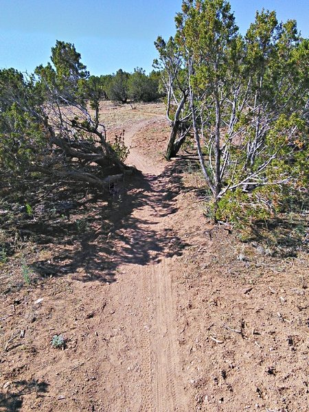 Cruising on the mesa top