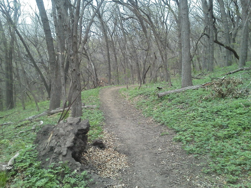 Spring 2014 @ Stone State Park