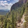 Looking West from the Elk Falls overlook.