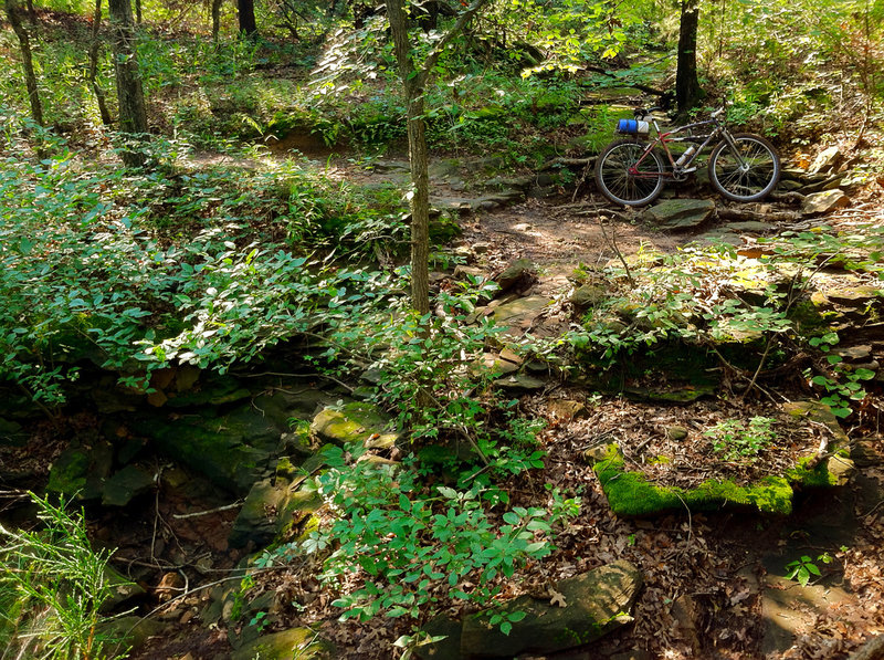 Traversing one of many rocky ravines on the SW Blue Trail at Lake McMurtry in Stillwater, OK.