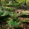 Traversing one of many rocky ravines on the SW Blue Trail at Lake McMurtry in Stillwater, OK.