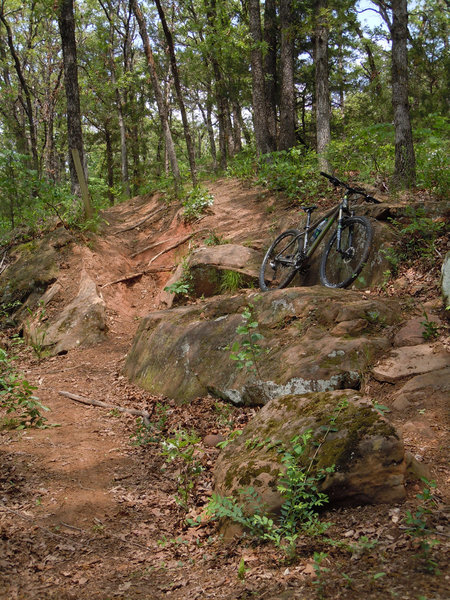 Halfway point on the NE Yellow Trail at Lake McMurtry in Stillwater, OK.